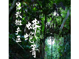 易武瑶区茶山新贵-蟒蛇箐|百花潭|铜箐河等黑马山头