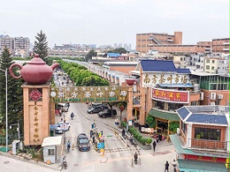 广东普洱茶市场