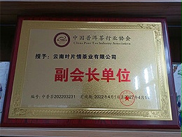 叶片情-普洱茶协会