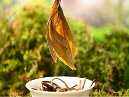 普洱茶冲泡四大要素之-水温,水温对茶叶冲泡的影响-叶片情茶业